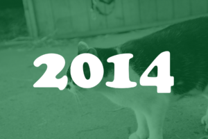 Jaarverslag Zwartendijkruiters 2014