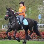 494100355_3111246035680743_2860101108926131978_n